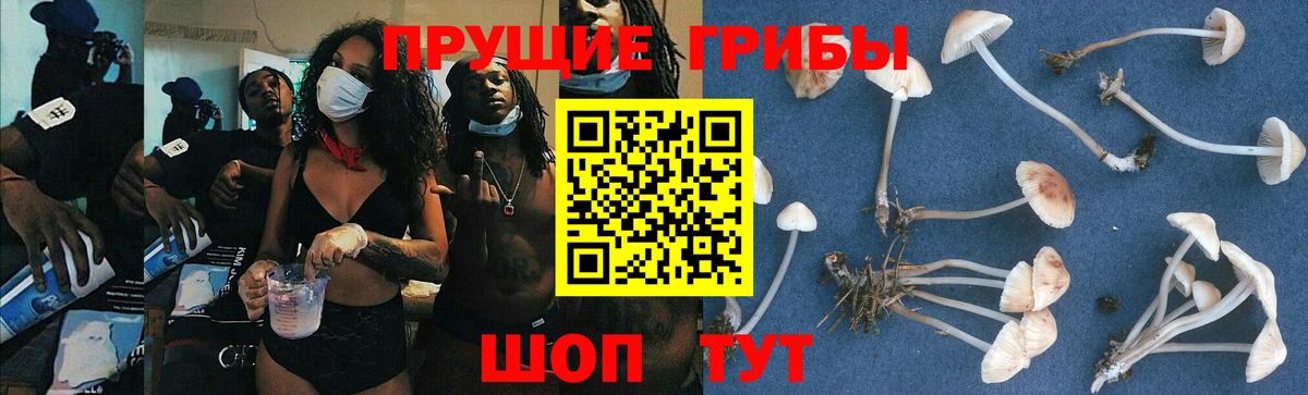 Нурлат  Псилоцибиновые грибы мухоморы  Вход с VPN 